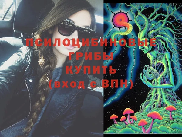 PSILOCYBIN Верхний Тагил