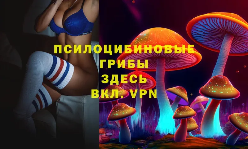 Псилоцибиновые грибы Magic Shrooms  цены   Курчатов 